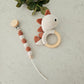 3er Set wilder Dino